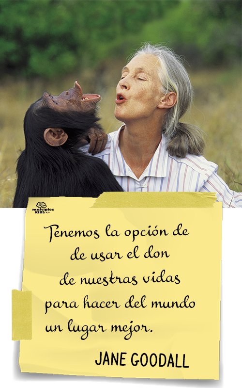 ¿Qué son las Inteligencias Múltiples?