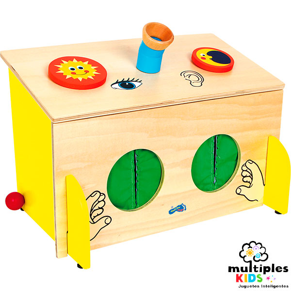 Caja de los sentidos