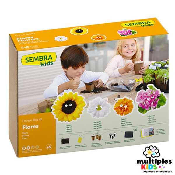 Kit de flores