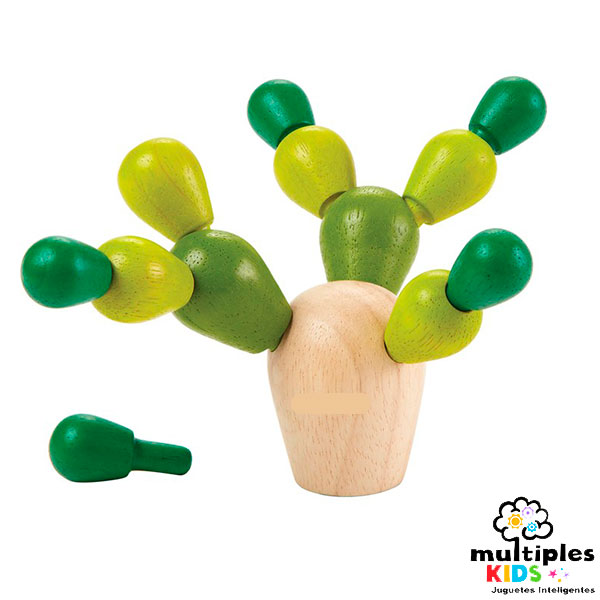 Mini cactus
