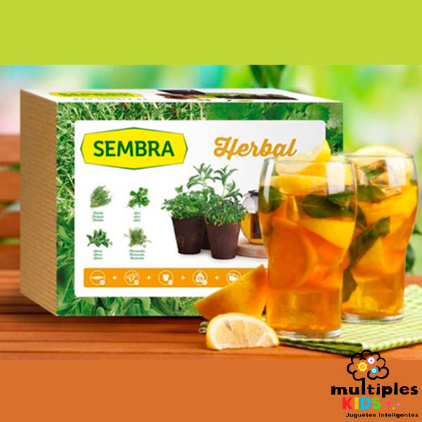 Infusiones kit