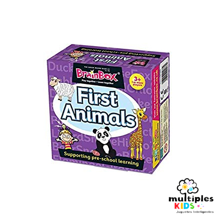 brainbox first animals