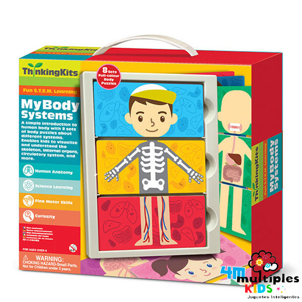 El cuerpo humano 4M