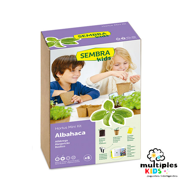 Mini kit albahaca