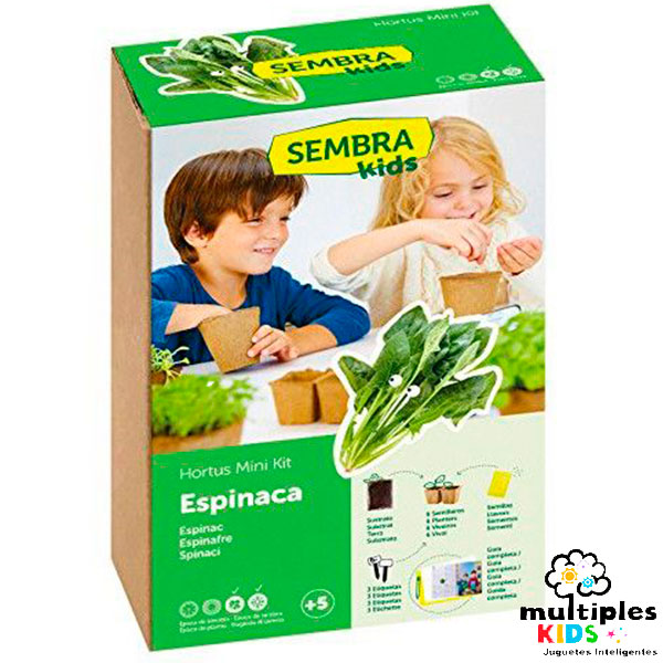 Mini kit espinacas