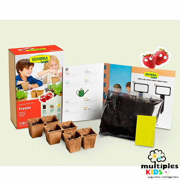 Mini kit fresón