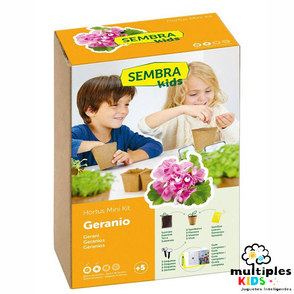 Mini kit geranio