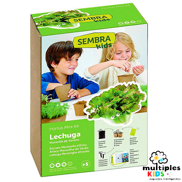 Mini kit lechuga