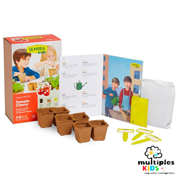 Mini kit de tomates cherry
