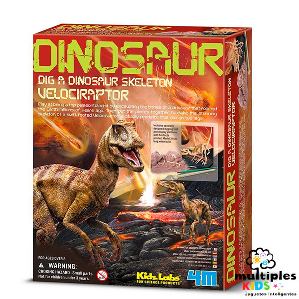 Dinosaur Velociraptor