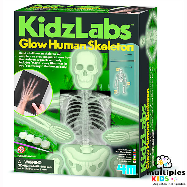 Glow Human Skeleton