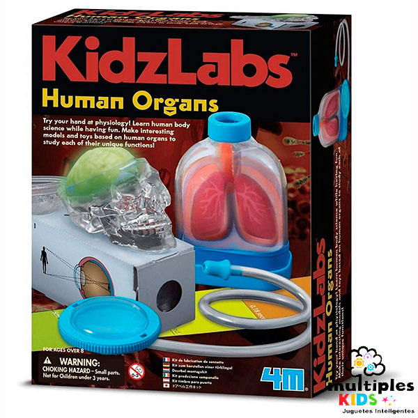 Human Organs 4M